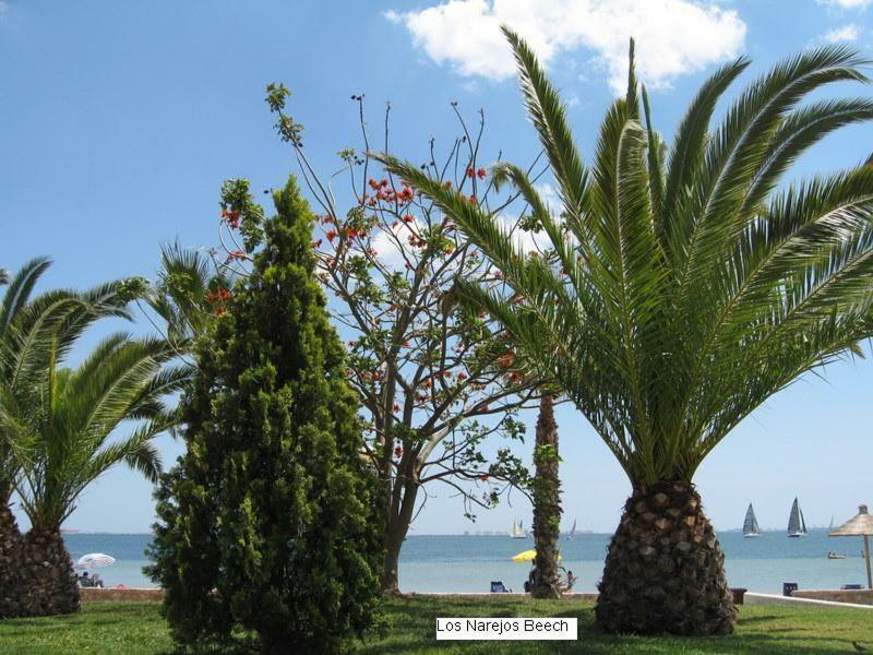 Beautiful 1 Bedroom Apartment In Roda, Los Alcazares. Larger Than Average. Extérieur photo